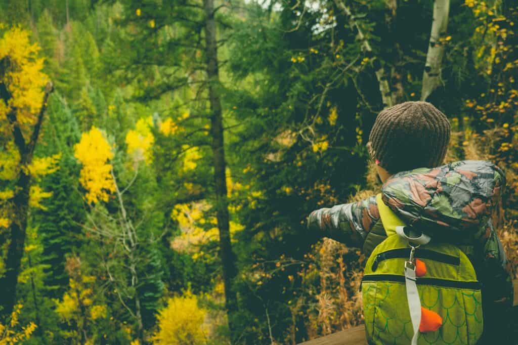 free national park pass for 4th graders